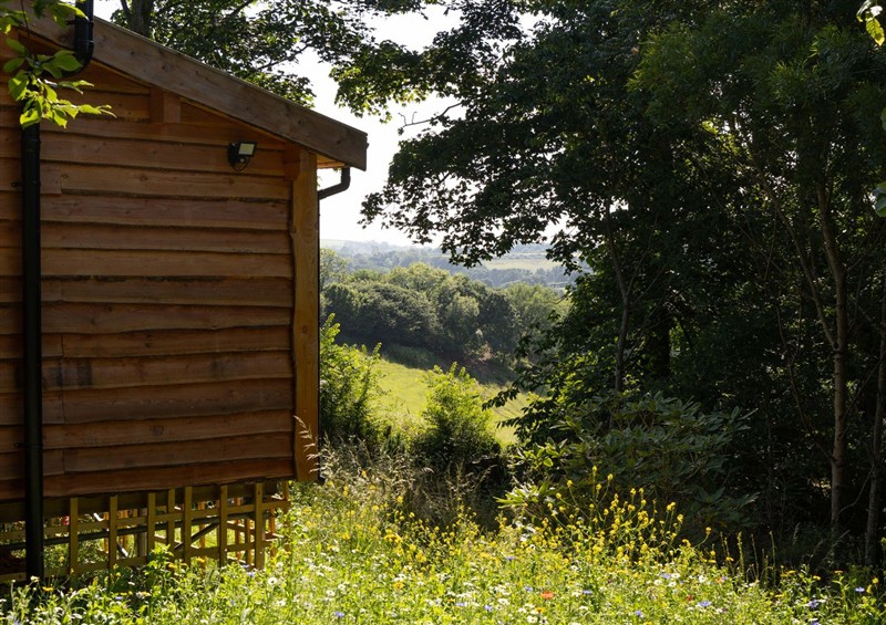 The setting of Owl Lodge (photo 5) at Owl Lodge, Menheniot