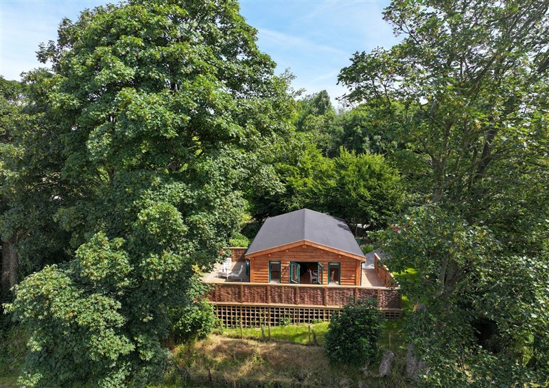 The setting at Owl Lodge, Menheniot