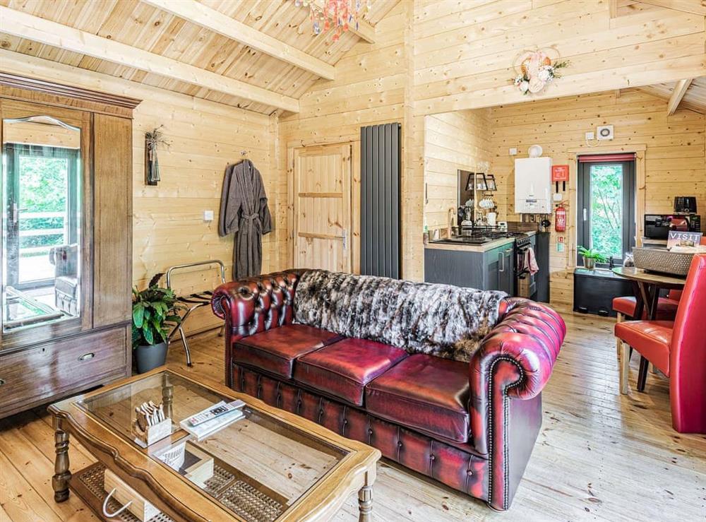 Living area at Owl Lodge in Walkeringham, Nottinghamshire