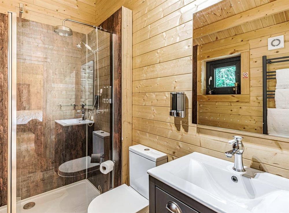 Shower room at Owl Lodge in Walkeringham, Nottinghamshire