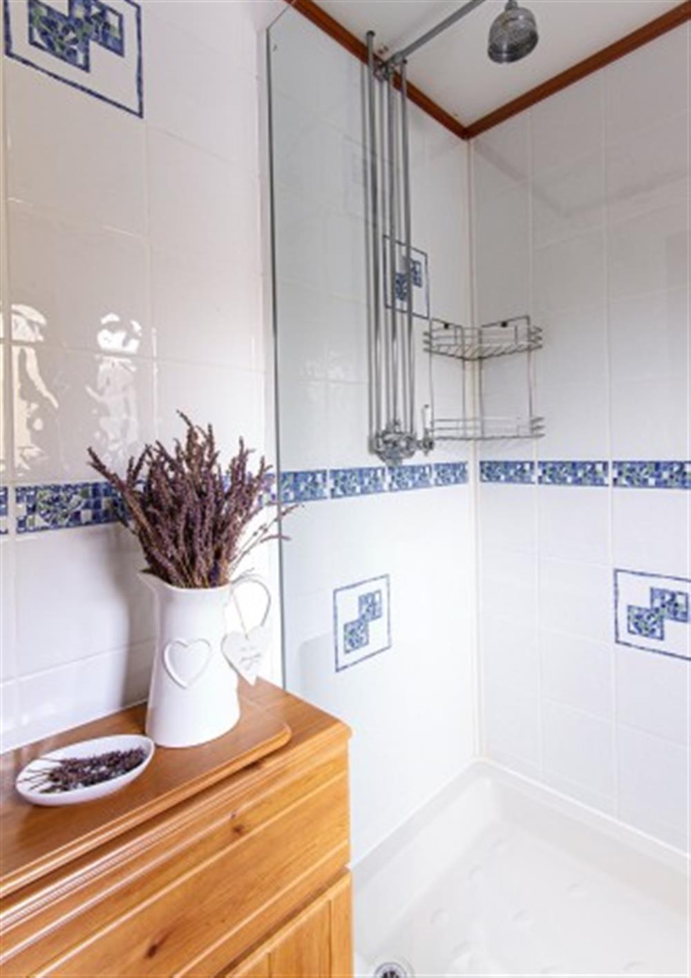 En-suite shower to King bedroom at Owl's Rest in Rock