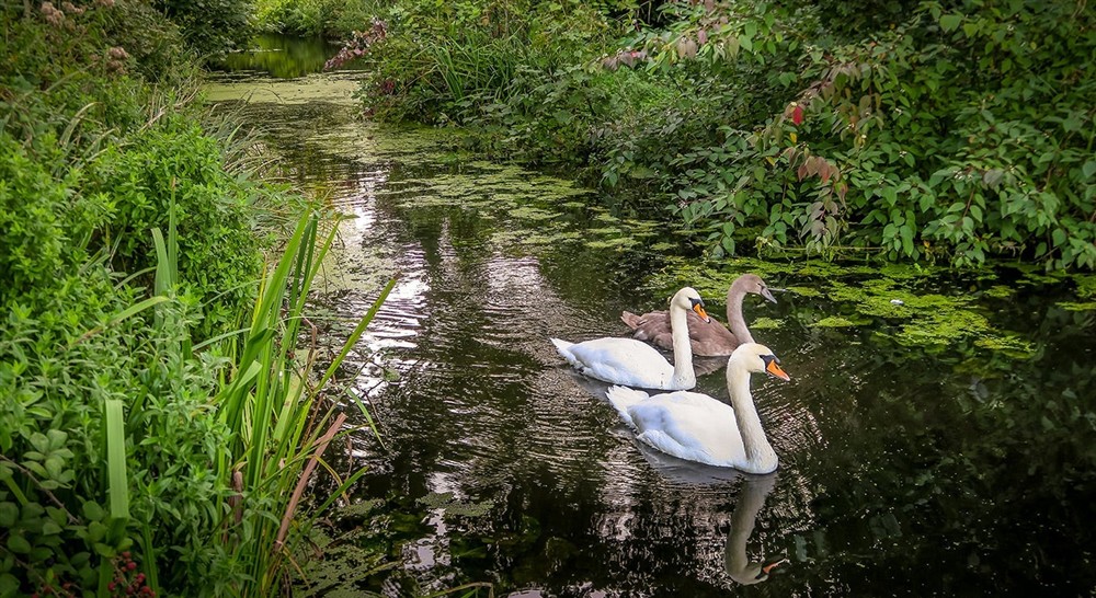 The surrounding area near Oxburgh Chapel Lodge, Norfolk at Oxburgh Chapel Lodge in King's Lynn, Norfolk