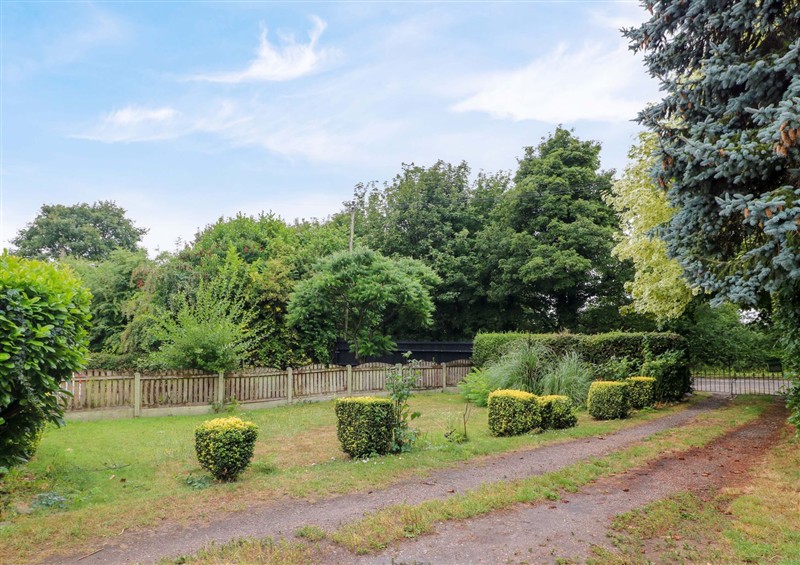 Enjoy the garden (photo 2) at Oxcroft View, Oxcroft near Bolsover