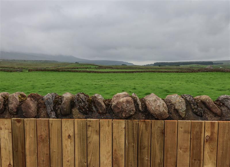 The setting of Oyster Catcher