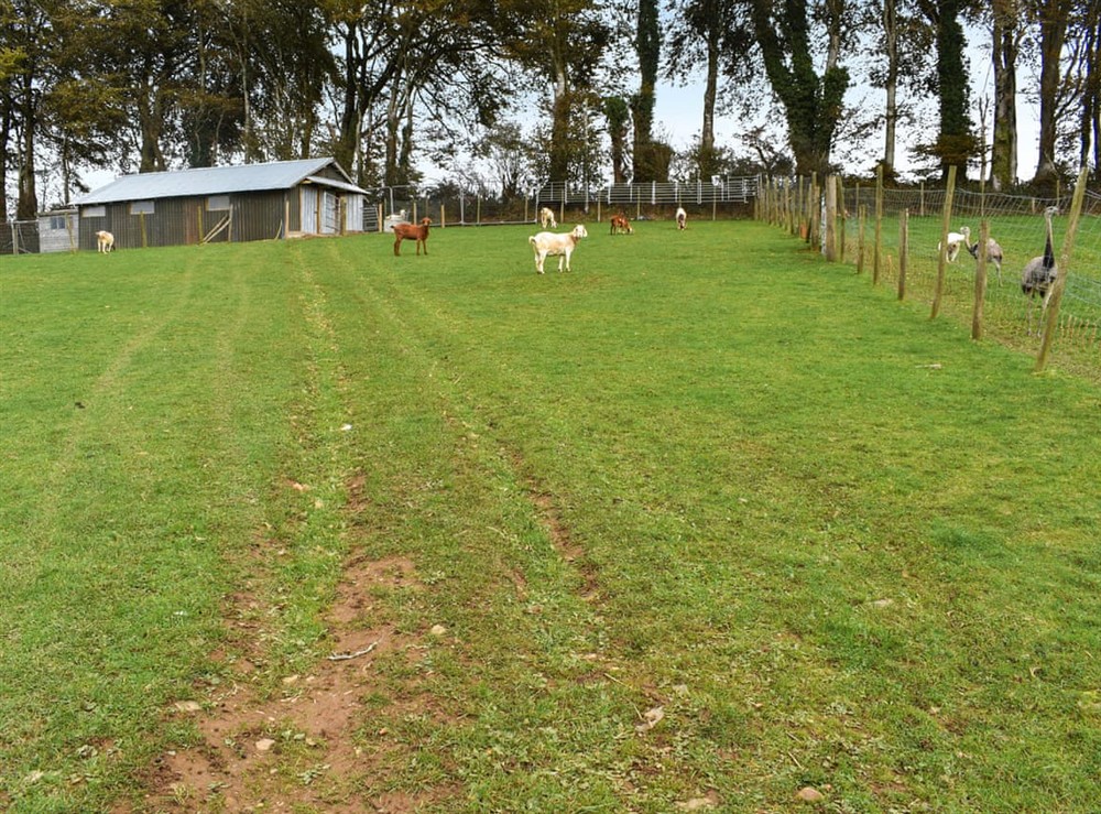 Outdoor at Pabi in Nansidyll, Dyfed