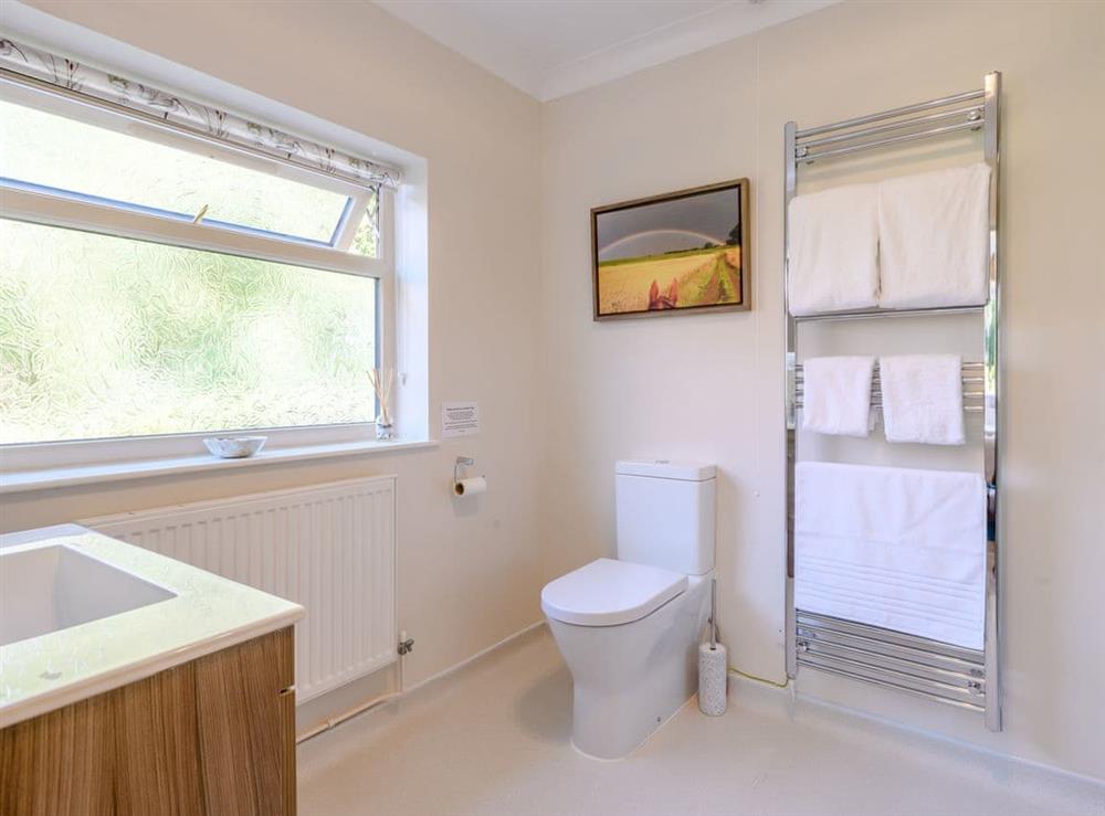 En-suite (photo 2) at Paddock End in Witton, near Brundall, Norfolk