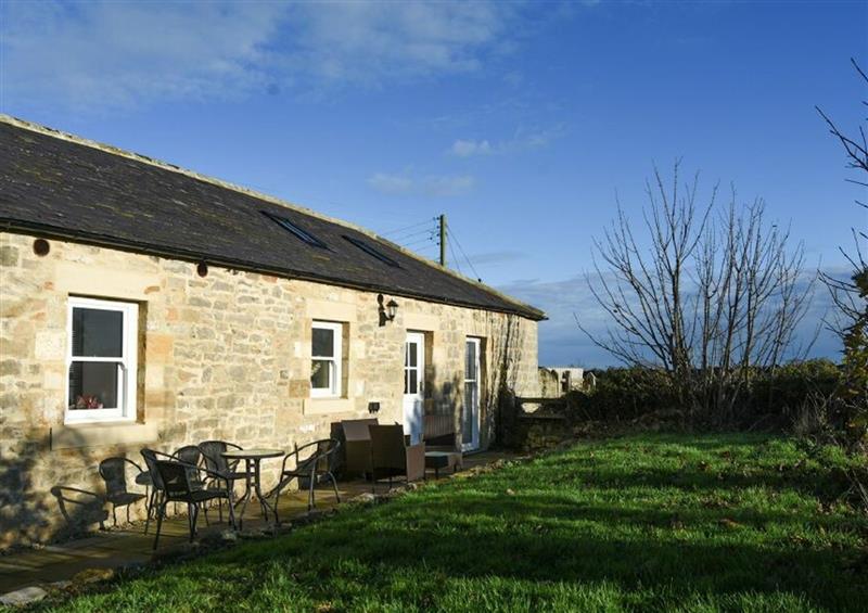 The area around Paddy's Mount Cottage