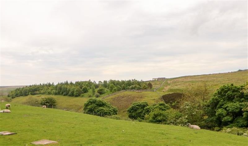 The setting of Padley Barn (photo 4) at Padley Barn, Reeth