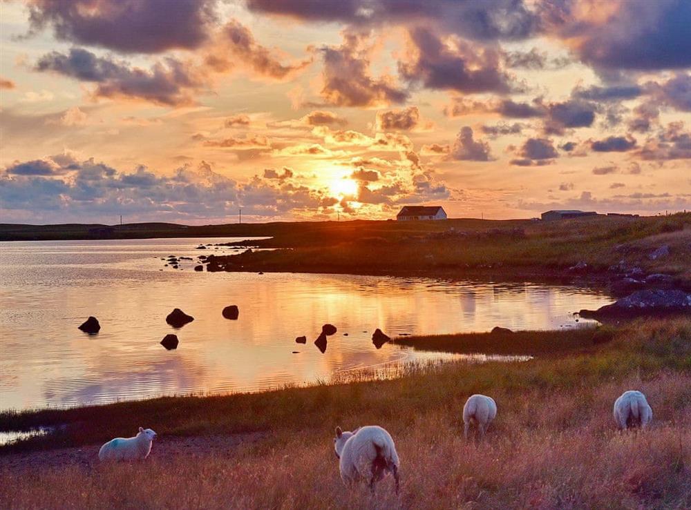 Sunset over the loch and some local inhabitants at Padraigs Cottage in Howbeg (Tobha Beag), Isle of South Uist, Scotland