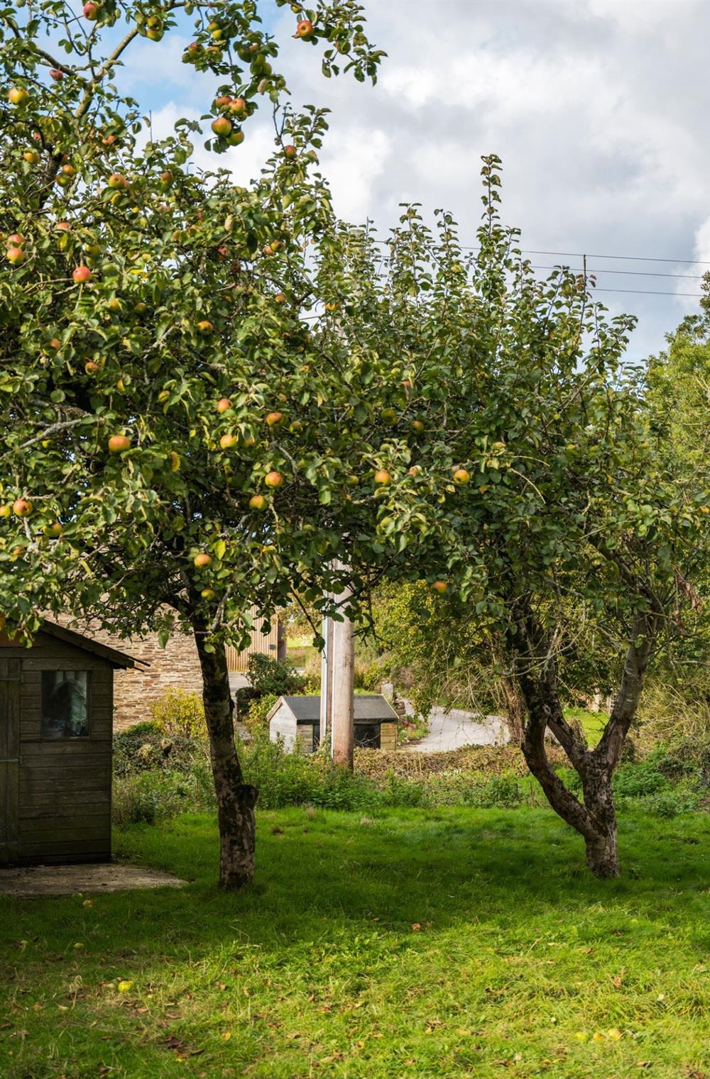 Farmhouse