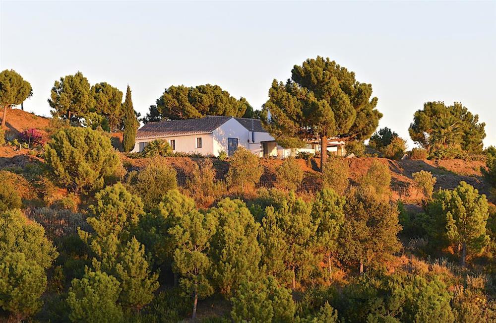Paisaje Villa (photo 6) at Paisaje Villa in Andalucia, Spain