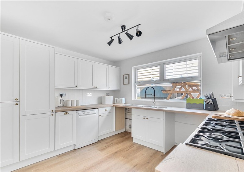 Kitchen at Palm House, Newquay