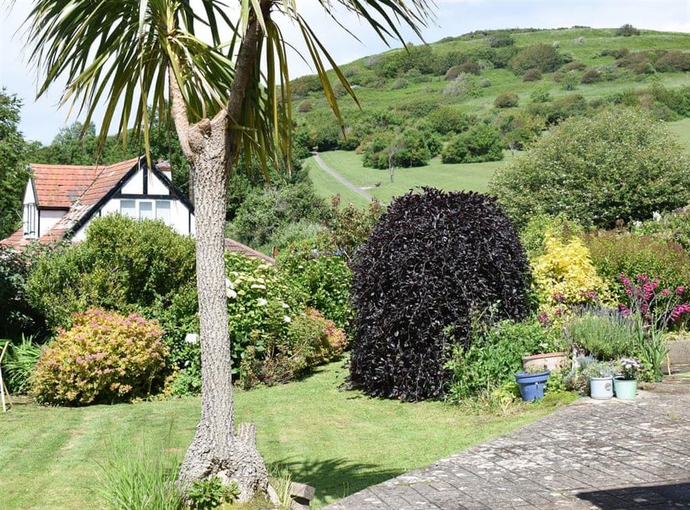 View from front patio at Palm Leas in Ilfracombe, Devon
