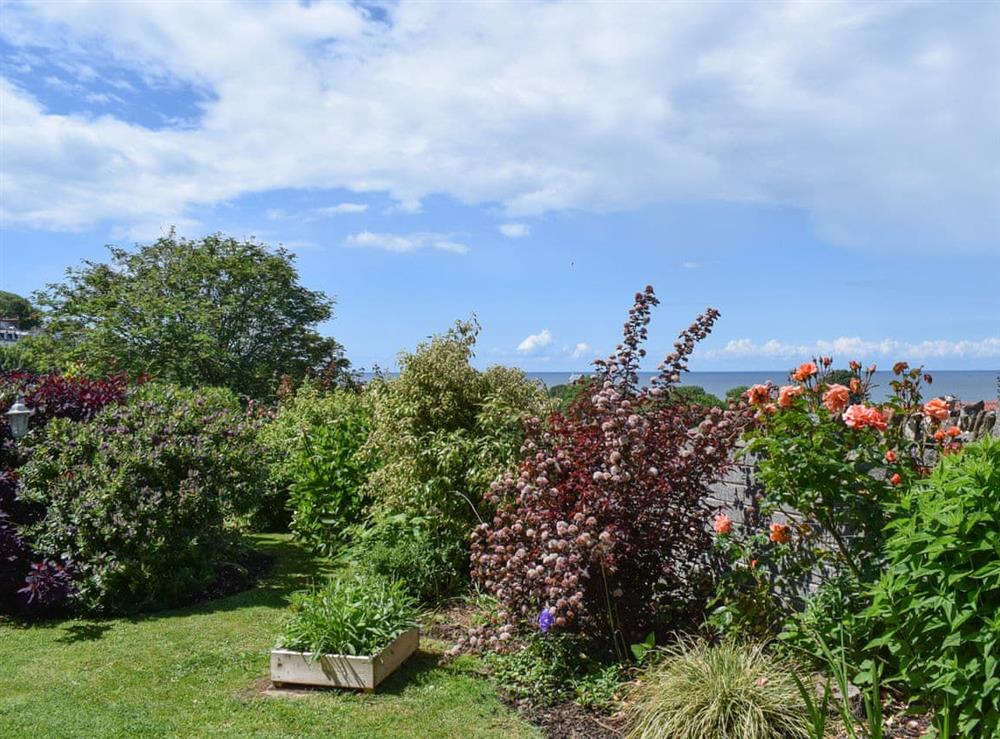 View from side garden at Palm Leas in Ilfracombe, Devon