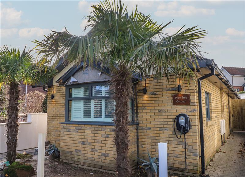 This is Palm Tree Cottage at Palm Tree Cottage, Sandown