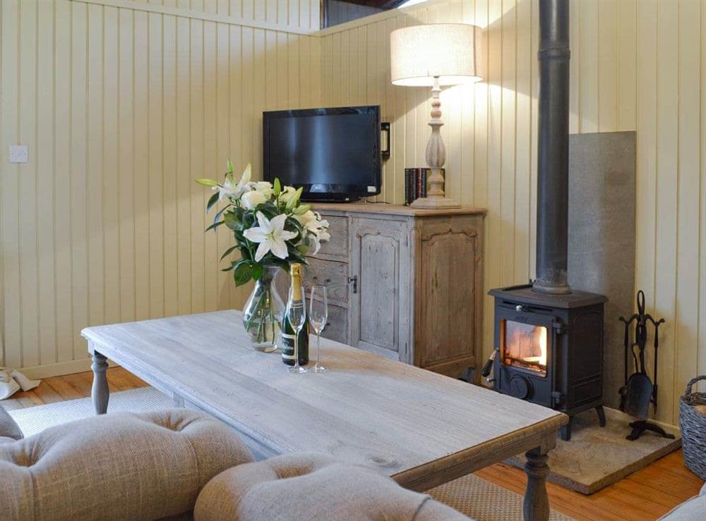 Attractive living area with wood burner at Pampita Lodge in Beverley, North Humberside
