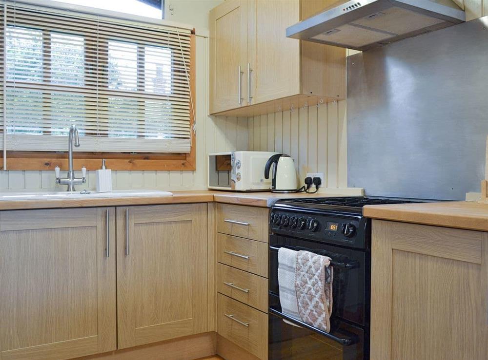 Well-equipped fitted kitchen at Pampita Lodge in Beverley, North Humberside