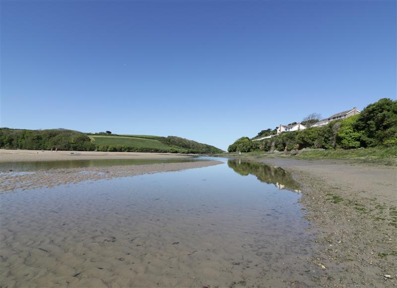 In the area at Pams Place, Crantock
