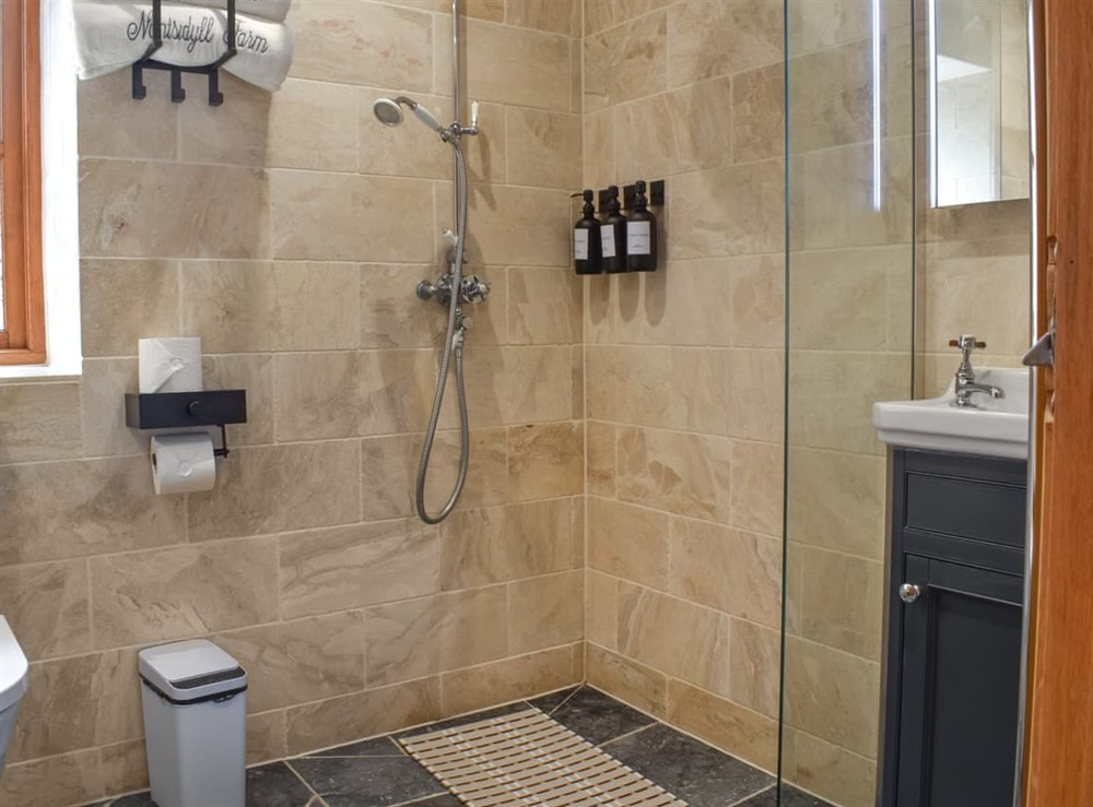Bathroom at Pansi in Nansidyll, Dyfed
