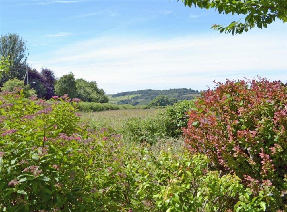 Superb countryside views at Pant Glas Mawr Cottage in Axton, near Holywell, Clwyd