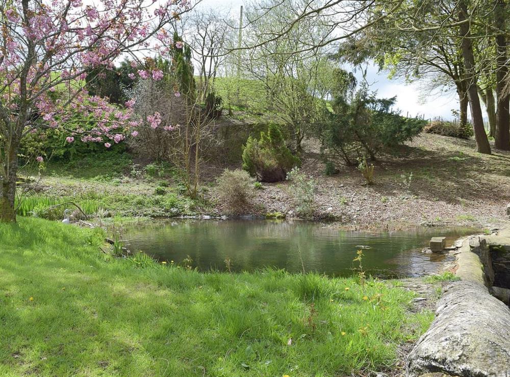 Delightful stream and pond in the shared grounds (photo 3) at Lower Mill Barn, 