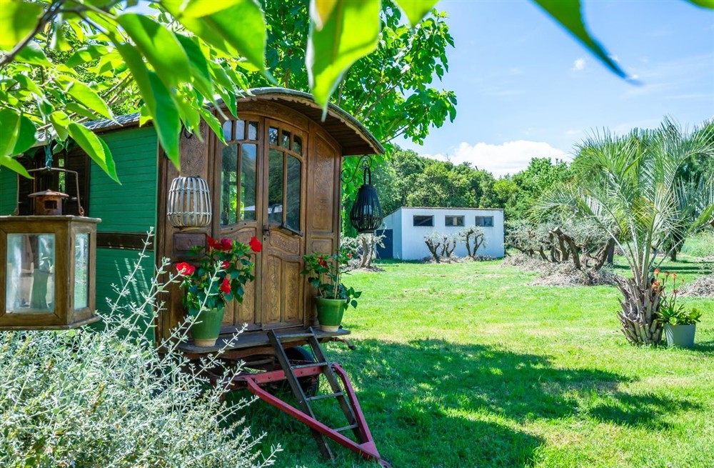 Paradis Boheme