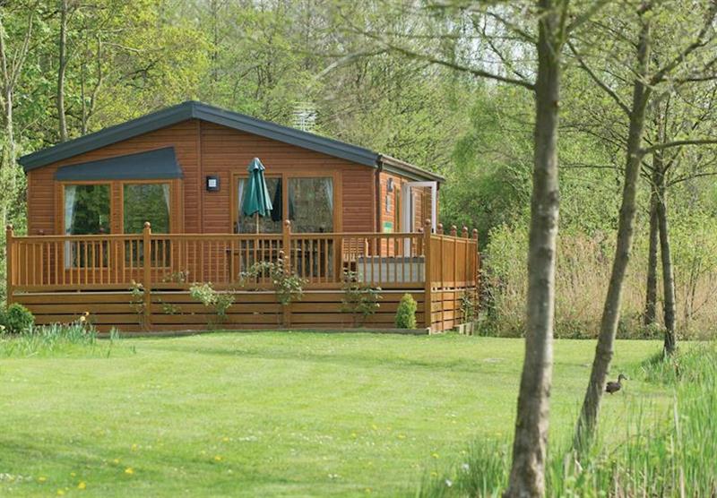 Paradise Wood View at Paradise Lakeside Lodges in Yorkshire, North of England