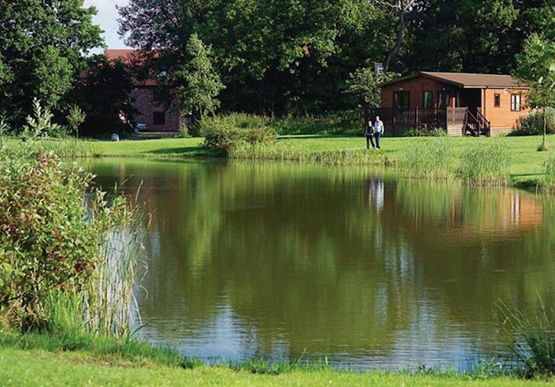 The park setting at Paradise Lakeside Lodges in Yorkshire, North of England