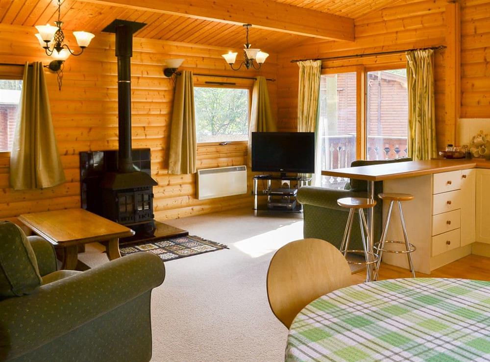 Open plan living space at Paradise Lodge in Louth, Lincolnshire