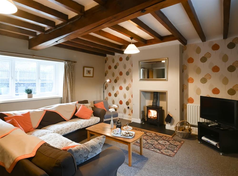 Living room at Parc Cottage in Llangadfan, near Welshpool, Powys