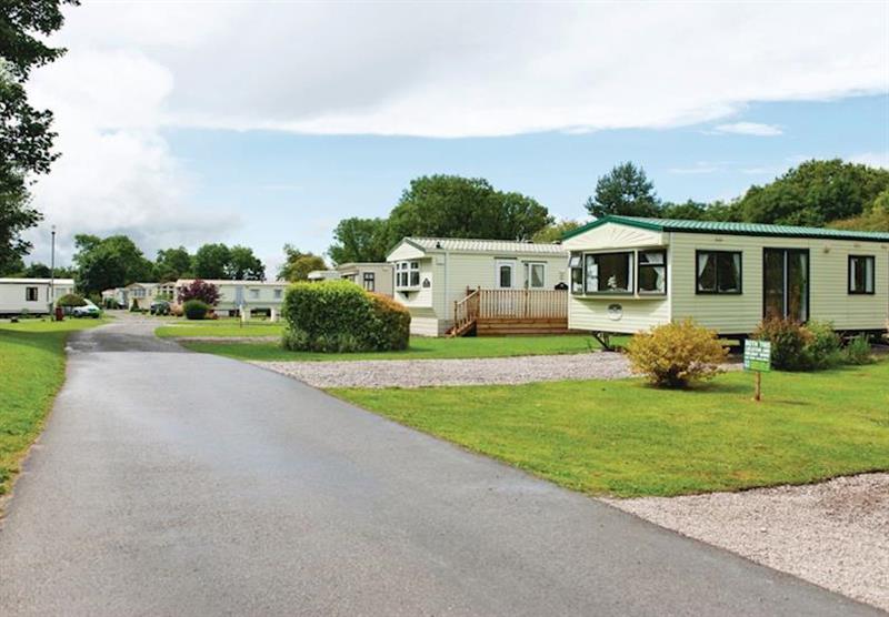 The park setting at Parc Farm Holiday Park in Mold, North Wales