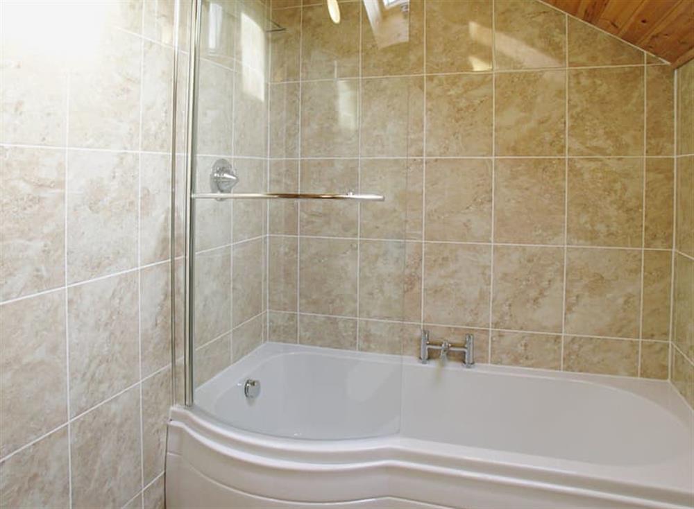 Bathroom at Parc Y Bryn Lodge in Broadlay, near Ferryside, Dyfed