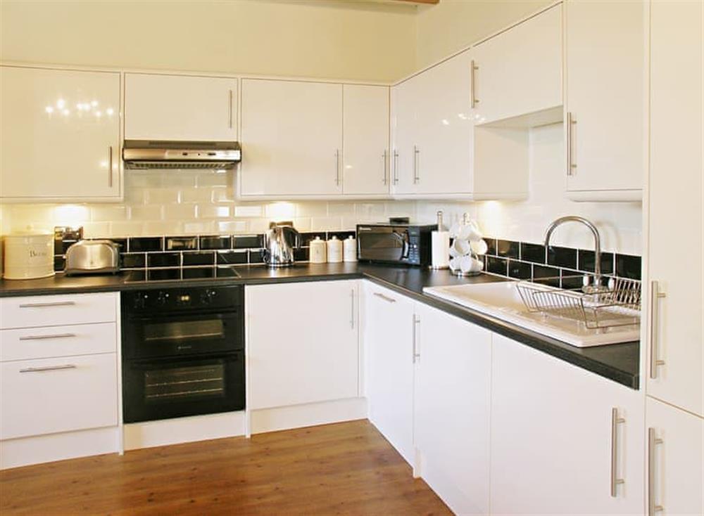 Kitchen area at Parc Y Bryn Lodge in Broadlay, near Ferryside, Dyfed