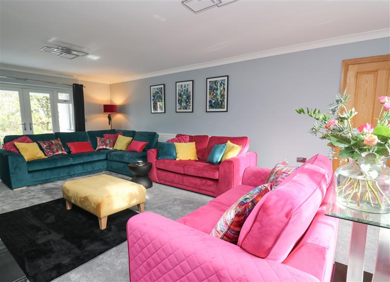 Enjoy the living room at Parc Y Deri, Rhos-y-garth near Aberystwyth