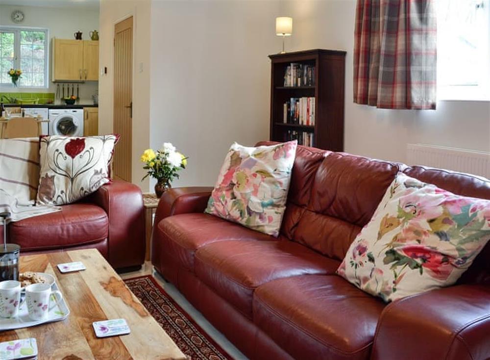Living room (photo 2) at Park Cottage in Dunragit, near Stranraer, Wigtownshire