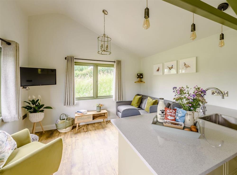 Open plan living space at Bedw Lodge, 
