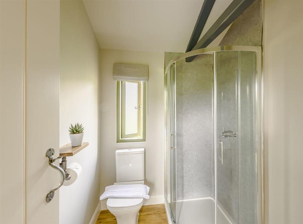 Shower room at Bedw Lodge, 