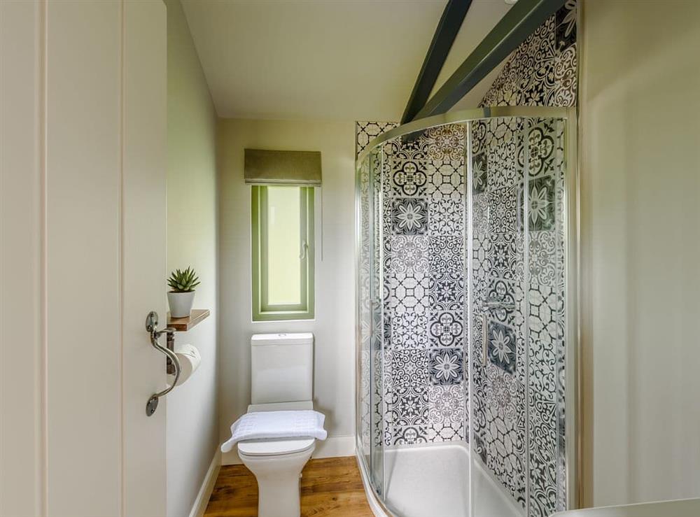 Shower room at Glyn-Haul, 