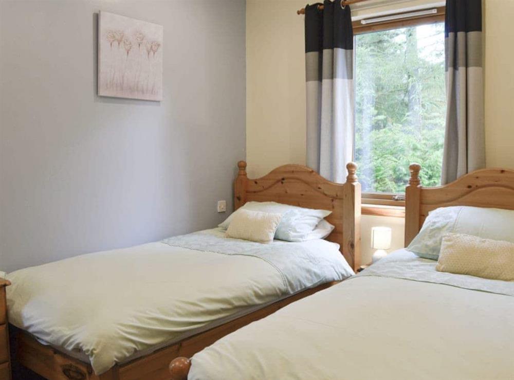Good-sized twin bedroom at Park Lodge in Strachan, near Banchory, Kincardineshire