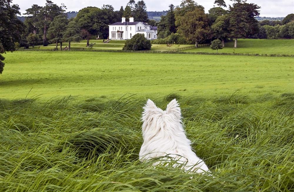 Park Manor (photo 2) at Park Manor in Killarney, County Kerry