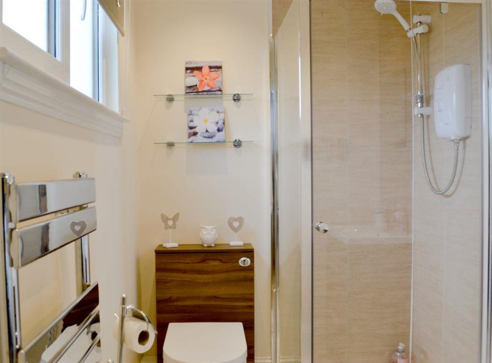 En-suite shower room at Park View Cottage in Stranraer, Dumfries and Galloway, Wigtownshire