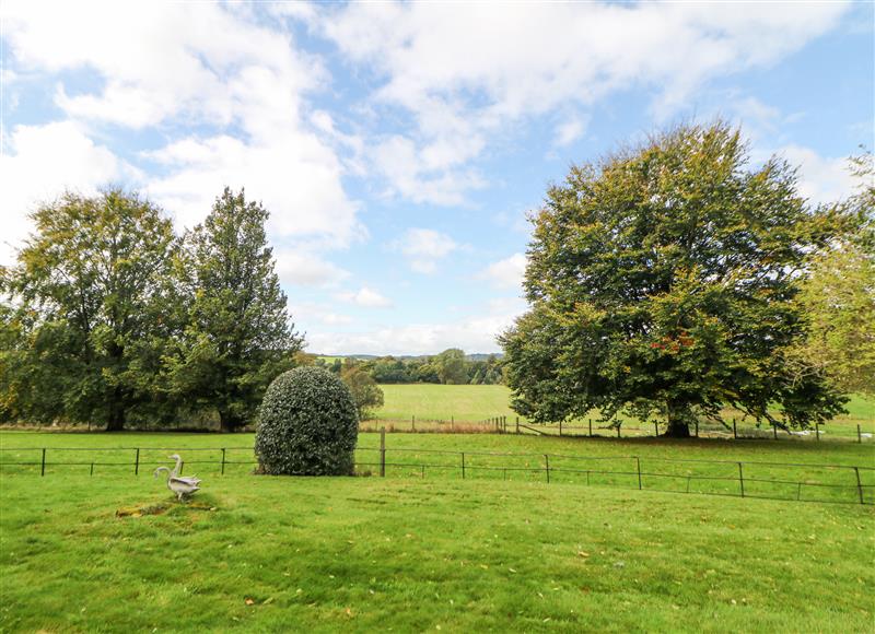 Rural landscape