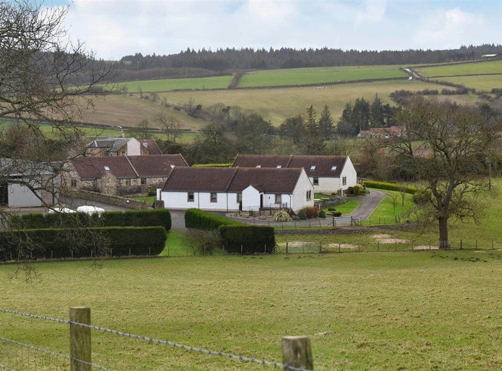 Set in a beautiful rural location at Beech Tree Cottage,