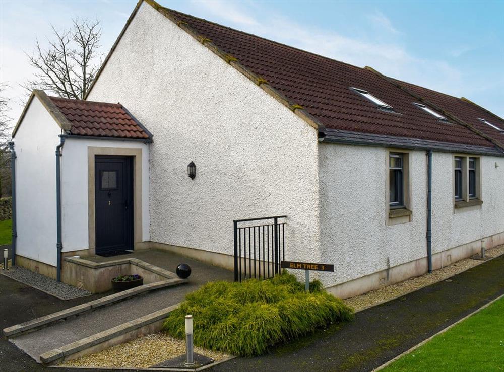 Exterior at Elm Tree Cottage,