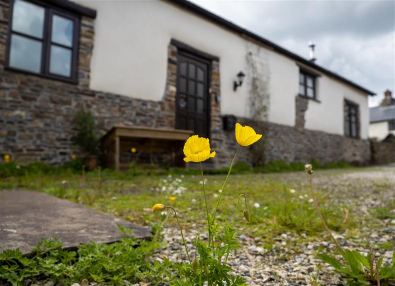 Outside Parsley Cottage