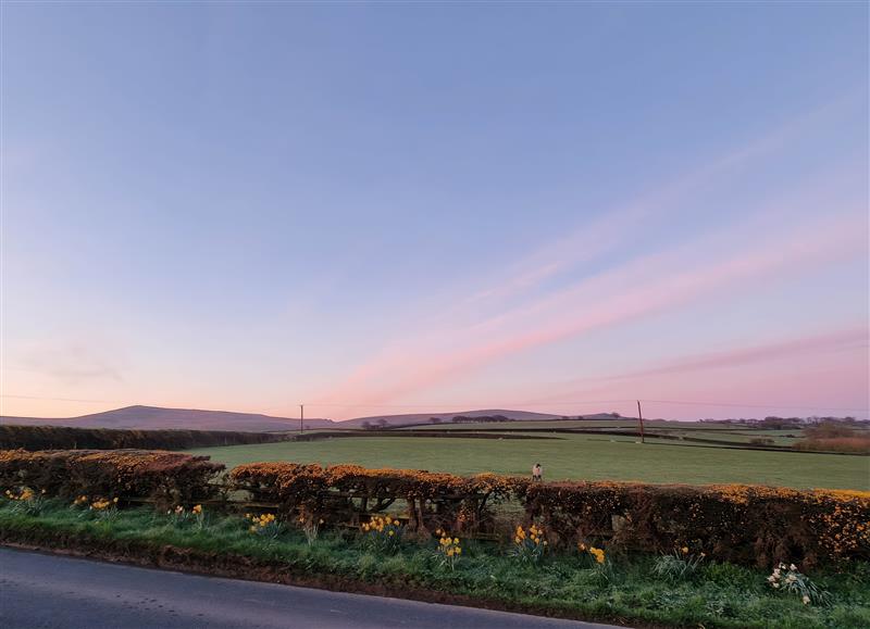 Rural landscape