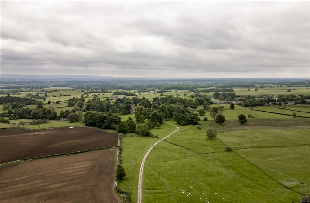 Ancient parkland on the Thornton Watlass Estate