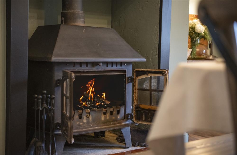 Dinner with family and friends in front of the wood burning stove