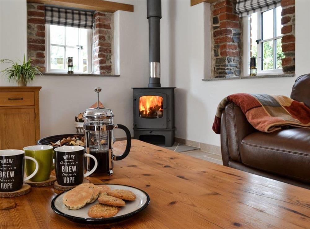 Living room with wood burner at Paxton View Barn in Llanddarog, near Carmarthen, Dyfed