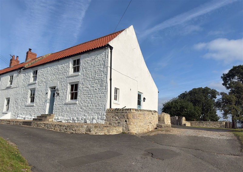 Outside at Peace Cottage, Langton near Gainford